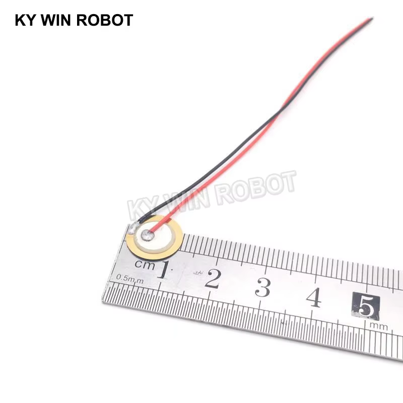 10 Pcs 압전 피에조 세라믹 웨이퍼 플레이트 직경  - Diy For Electronics 리뷰 및 가격